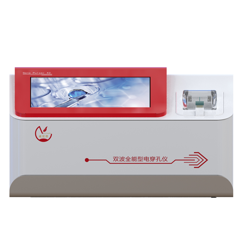 微尺度燃烧及其热电转化基础研究