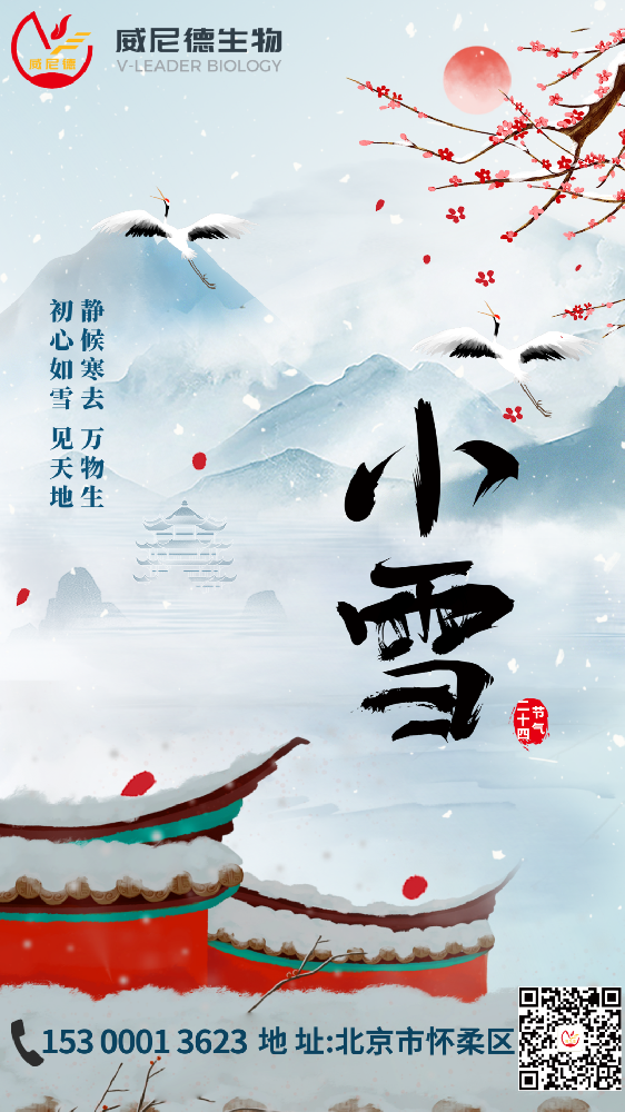 寒韵初绽  静候丰年