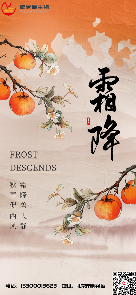 霜降：秋意深处的静美时节