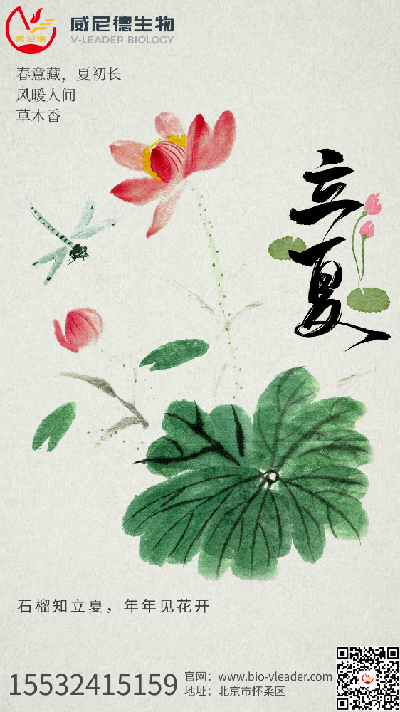 万物并秀，科研向新：威尼德 V-Leader 全矩阵生命科学仪器助您拔节生长