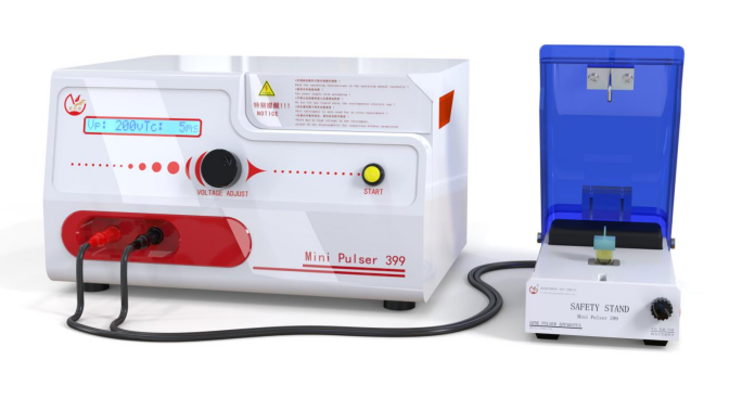 穿孔介导的物质输送：原理、方法与应用拓展详解